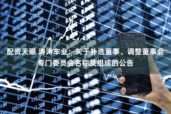 配资天眼 涛涛车业：关于补选董事、调整董事会专门委员会名称及组成的公告